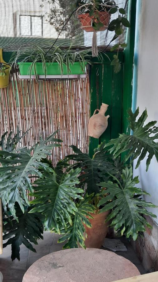 הבית הירוק - Green House Арад Екстериор снимка